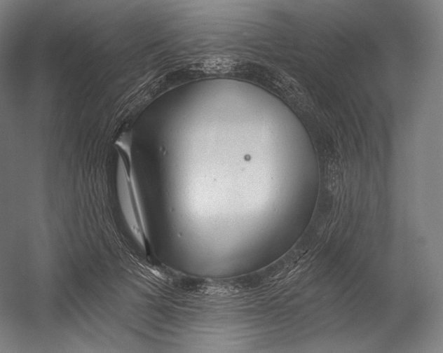 X0000055210697200508301322.png