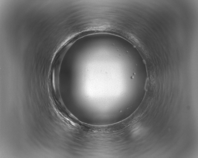 X0000055060532200508161648.png