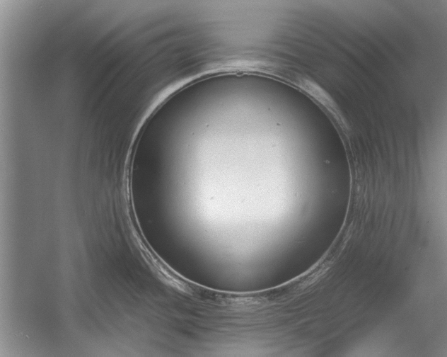 X0000055061436200508161634.png