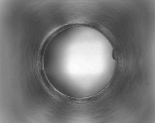 X0000054330680200508111919.png