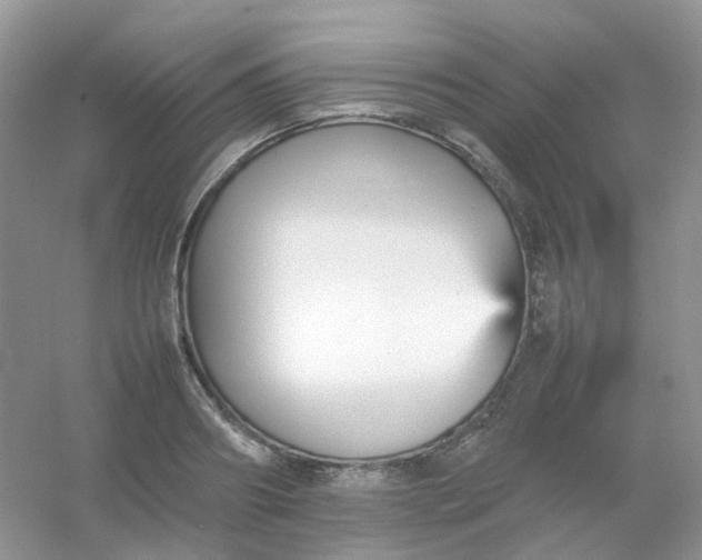 X0000054330890200508111916.png