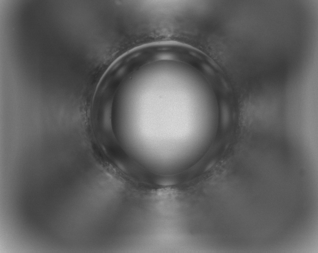 X0000054730414200508171857.png