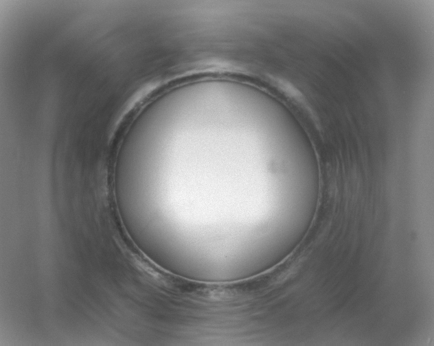 X0000054331318200508111908.png