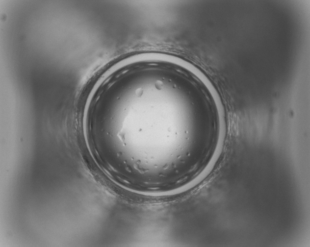 X0000052120150200507262100.png