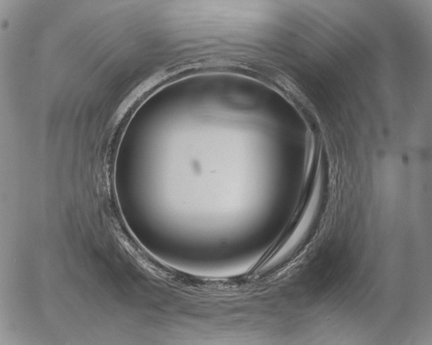 X0000054650789200508091640.png