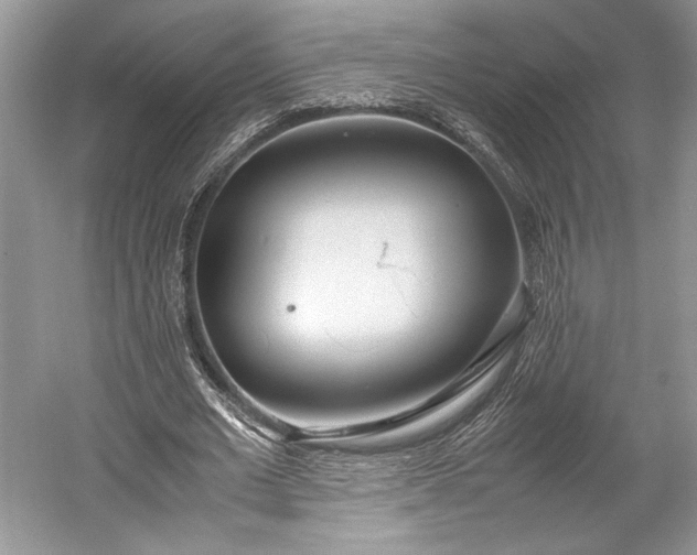 X0000055060677200508161646.png