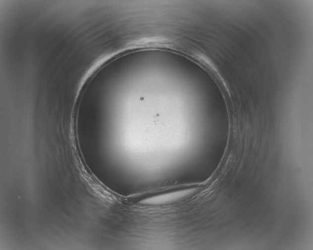 X0000055211336200508301312.png