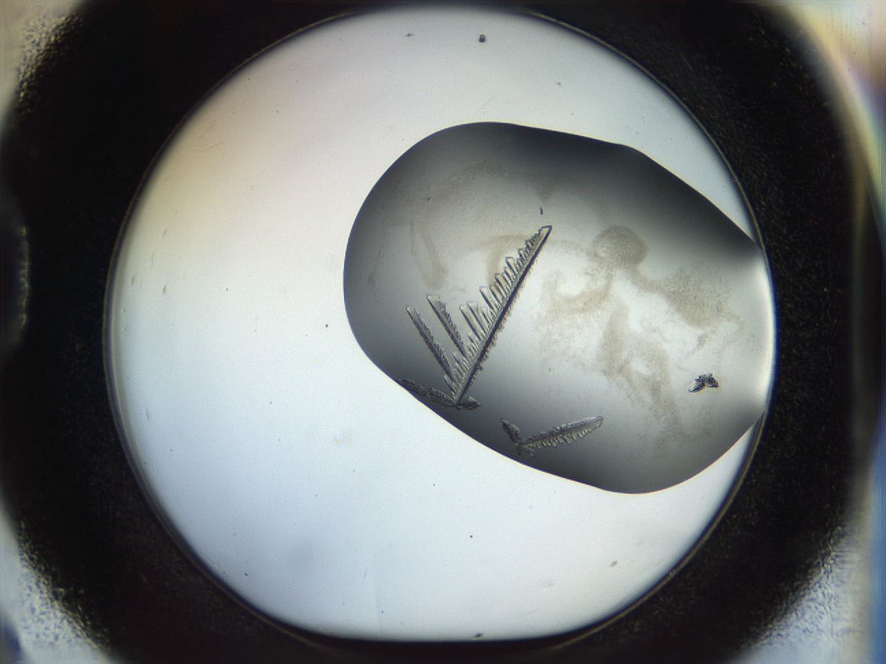 056u_D9_ImagerDefaults_9.jpg