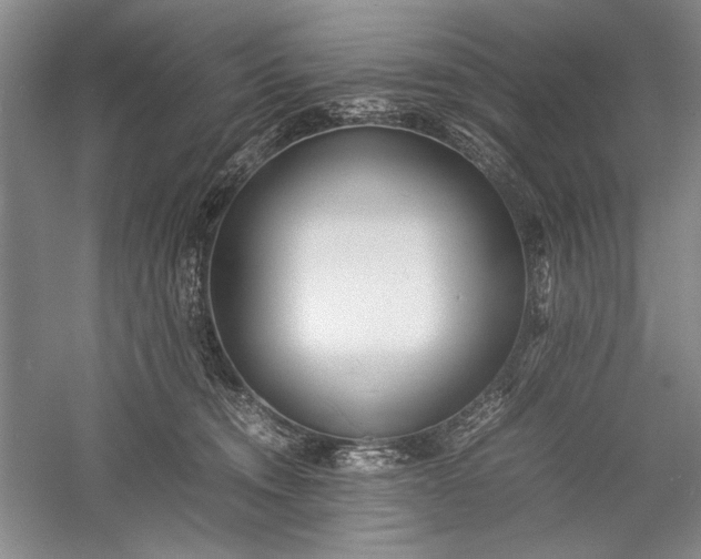 X0000055060372200508161652.png