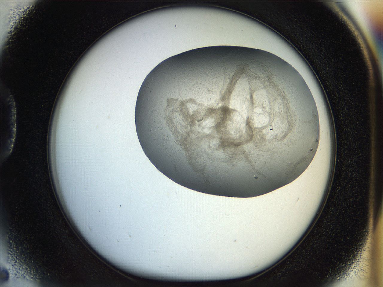 056u_D5_ImagerDefaults_9.jpg