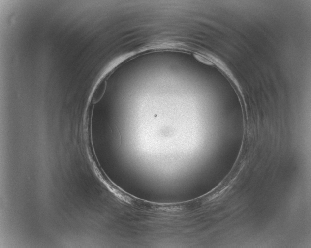 X0000055061053200508161640.png