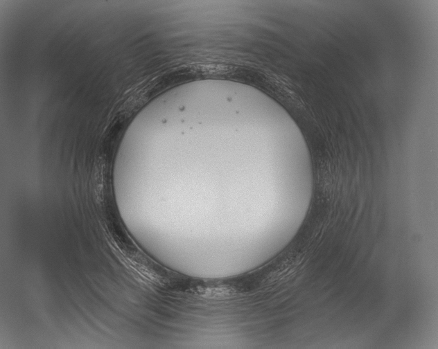 X0000055210645200508301323.png