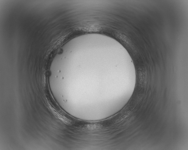 X0000055210541200508301324.png