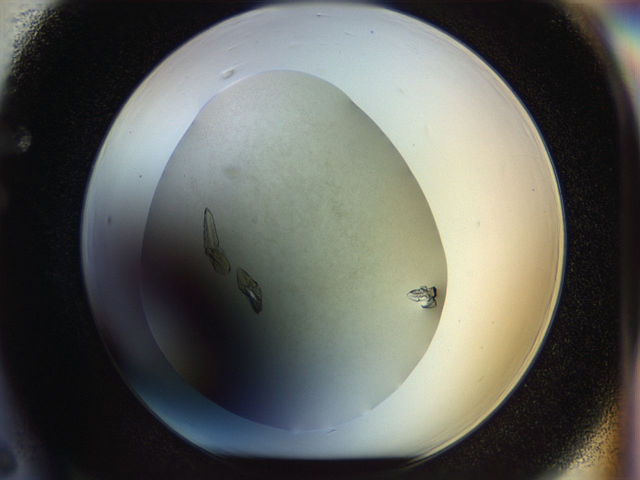 056u_F6_ImagerDefaults_9.jpg