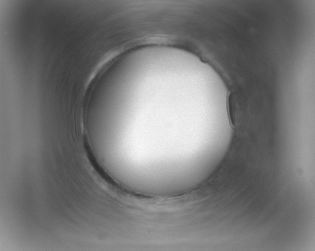 X0000054330011200508111931.png