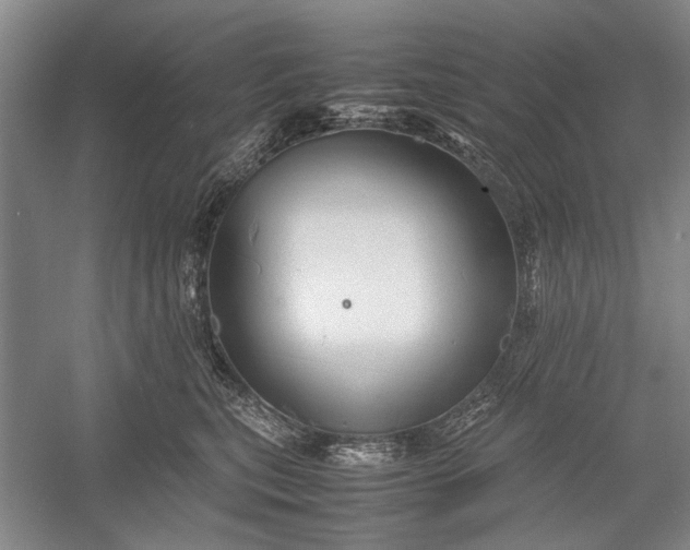 X0000055060567200508161649.png