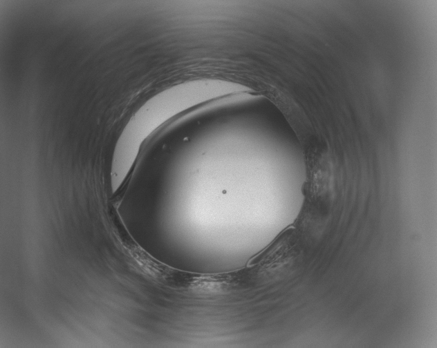 X0000055210620200508301323.png