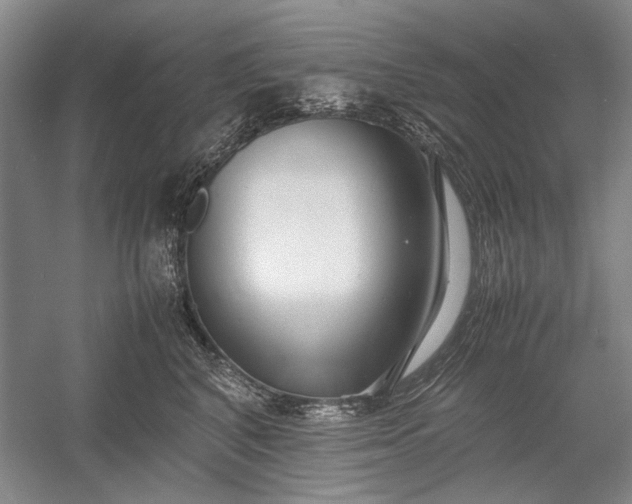 X0000055060616200508161647.png