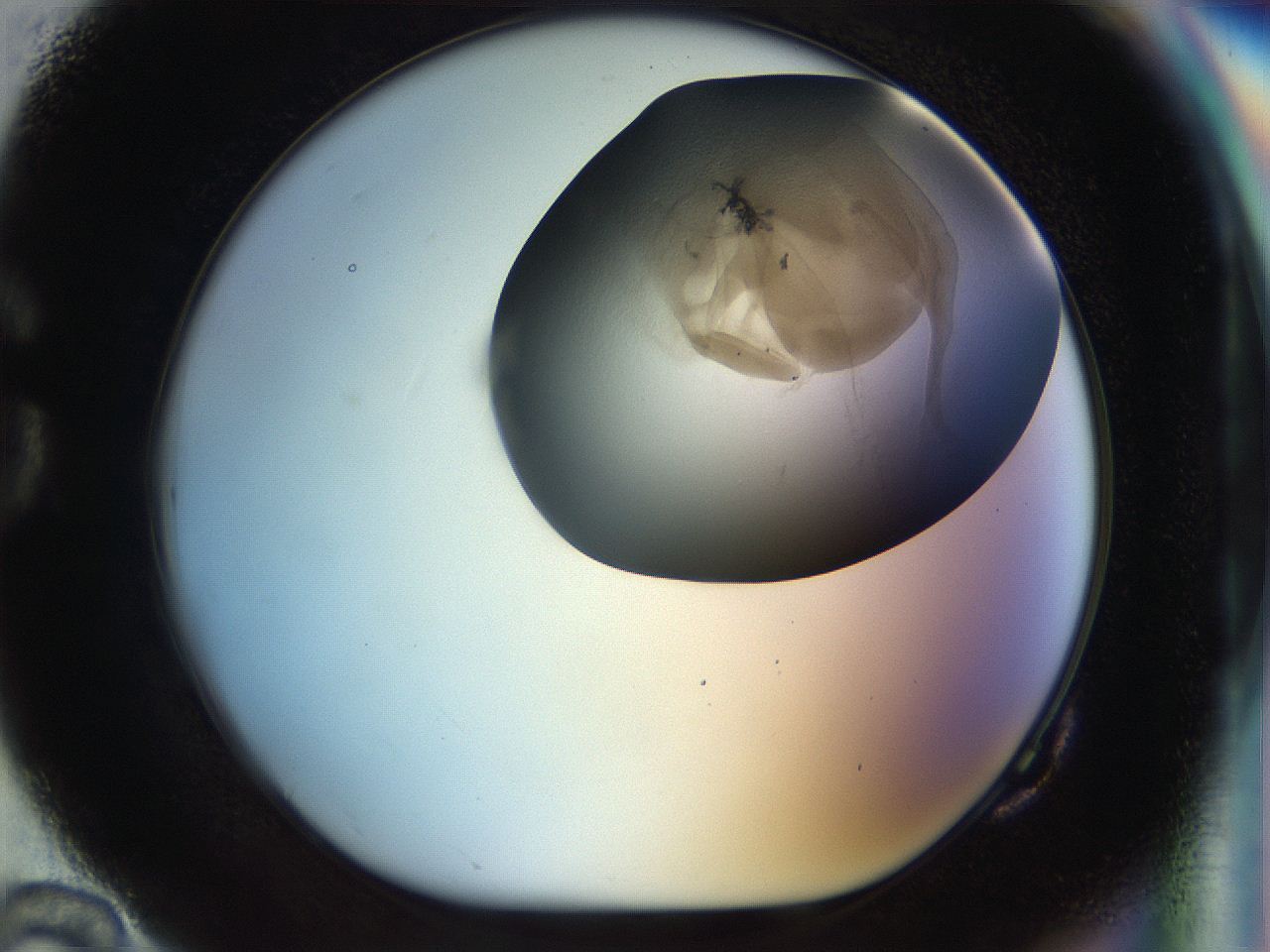 056u_G10_ImagerDefaults_7.jpg