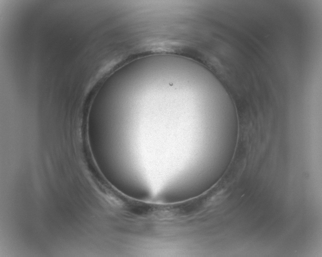X0000054330299200508111926.png