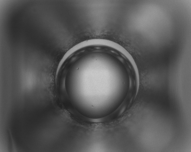X0000047470087200503091610.png