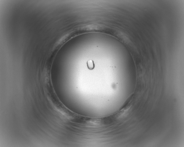 X0000054330164200508111928.png