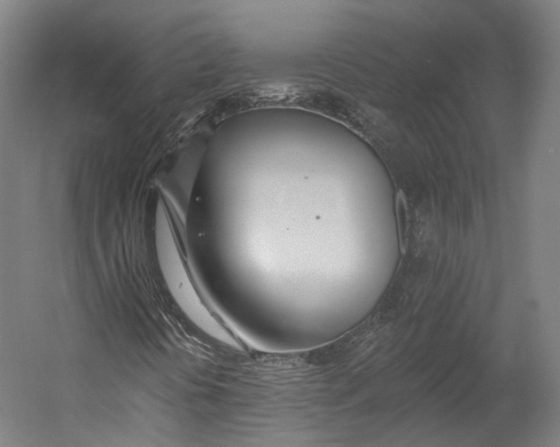 X0000055211394200508301309.png