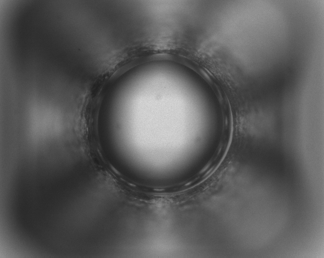 X0000041780422200411271526.png