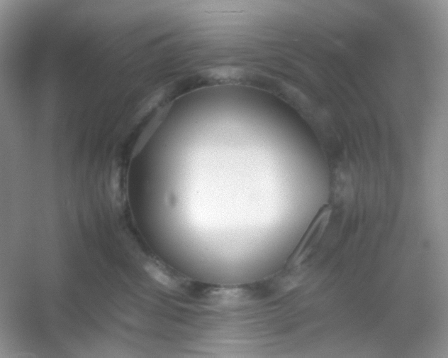 X0000054330428200508111924.png