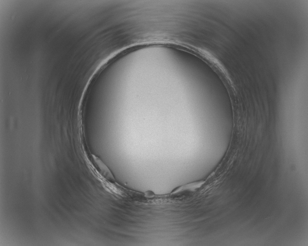 X0000055251380200509071604.png