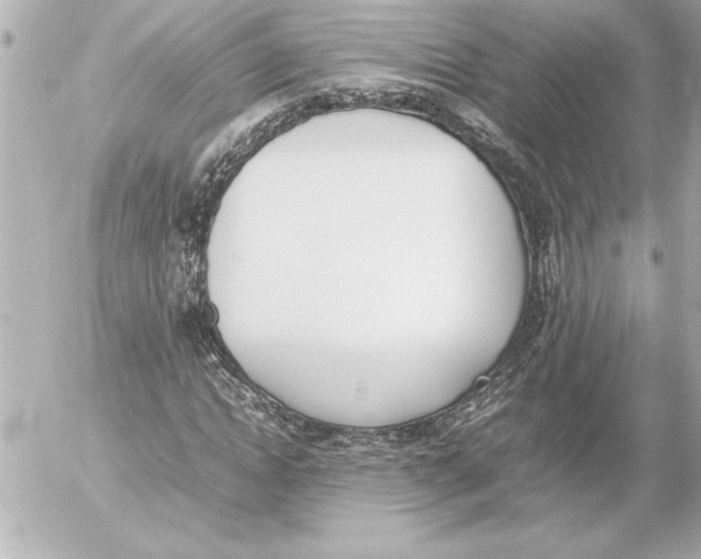 X0000054230822200508171508.png