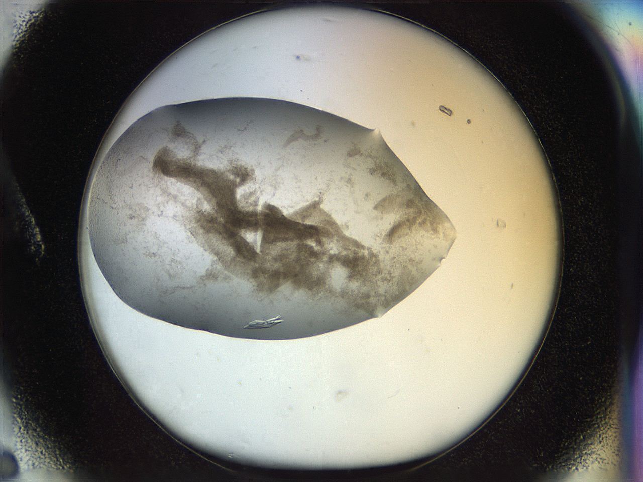 056y_A6_ImagerDefaults_9.jpg