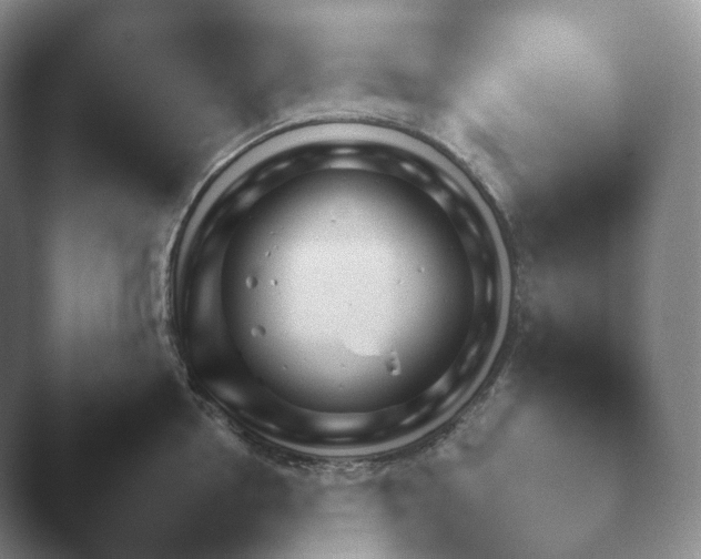 X0000045450858200502011655.png
