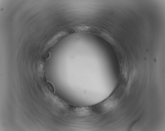 X0000054650378200508091648.png