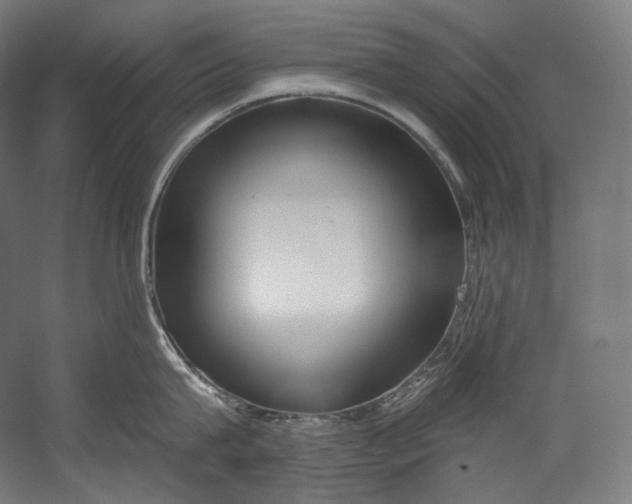 X0000055210815200508301320.png
