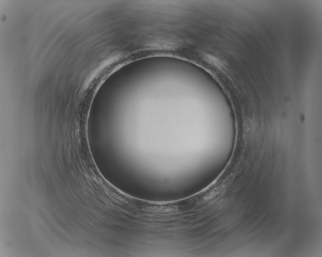 X0000054651307200508091631.png