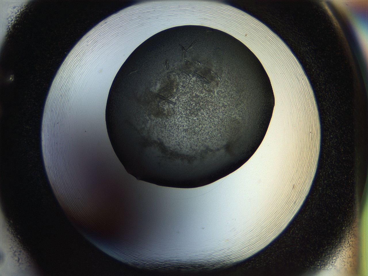 056z_F5_ImagerDefaults_7.jpg