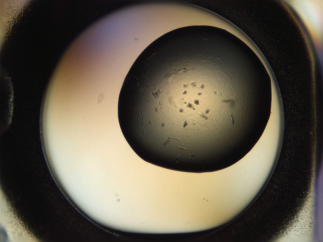 056z_D2_ImagerDefaults_7.jpg