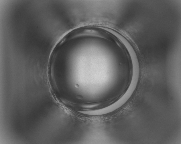 X0000051110956200507141753.png