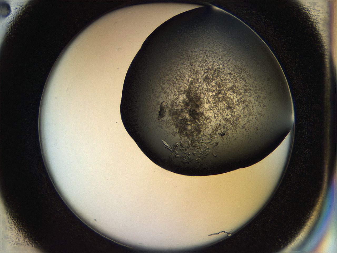 056z_C2_ImagerDefaults_9.jpg