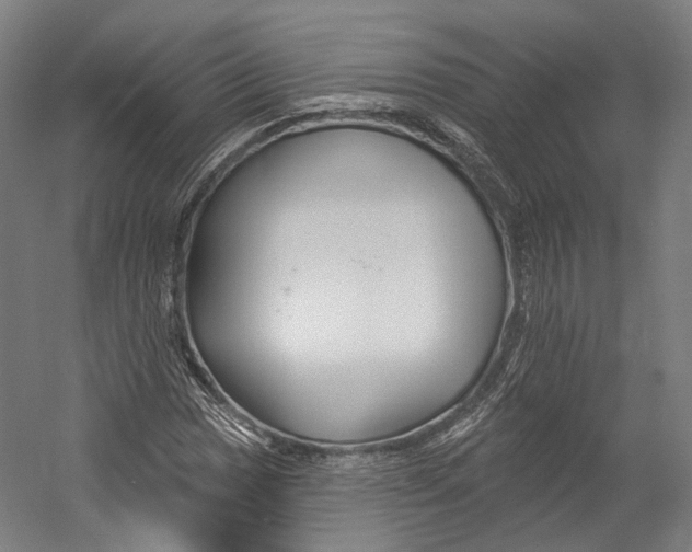 X0000055211017200508301316.png
