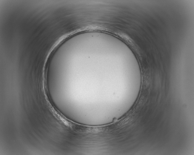 X0000055211286200508301312.png