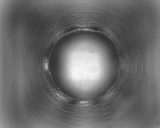 X0000055060095200508161657.png