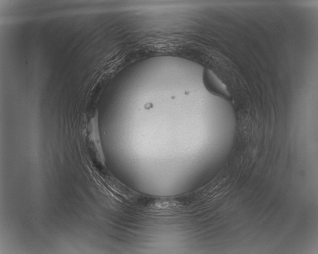 X0000055250752200509071615.png