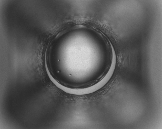 X0000045451252200502011648.png