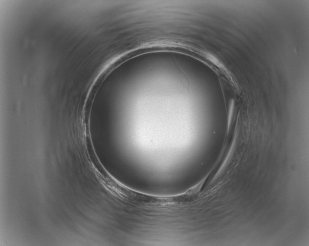 X0000055061372200508161634.png