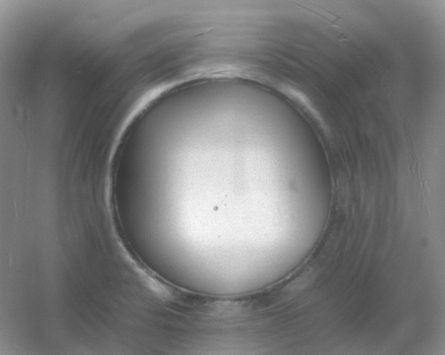 X0000054331424200508111907.png