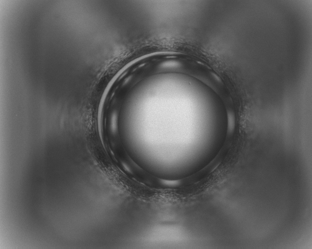 X0000040730739200410201651.png