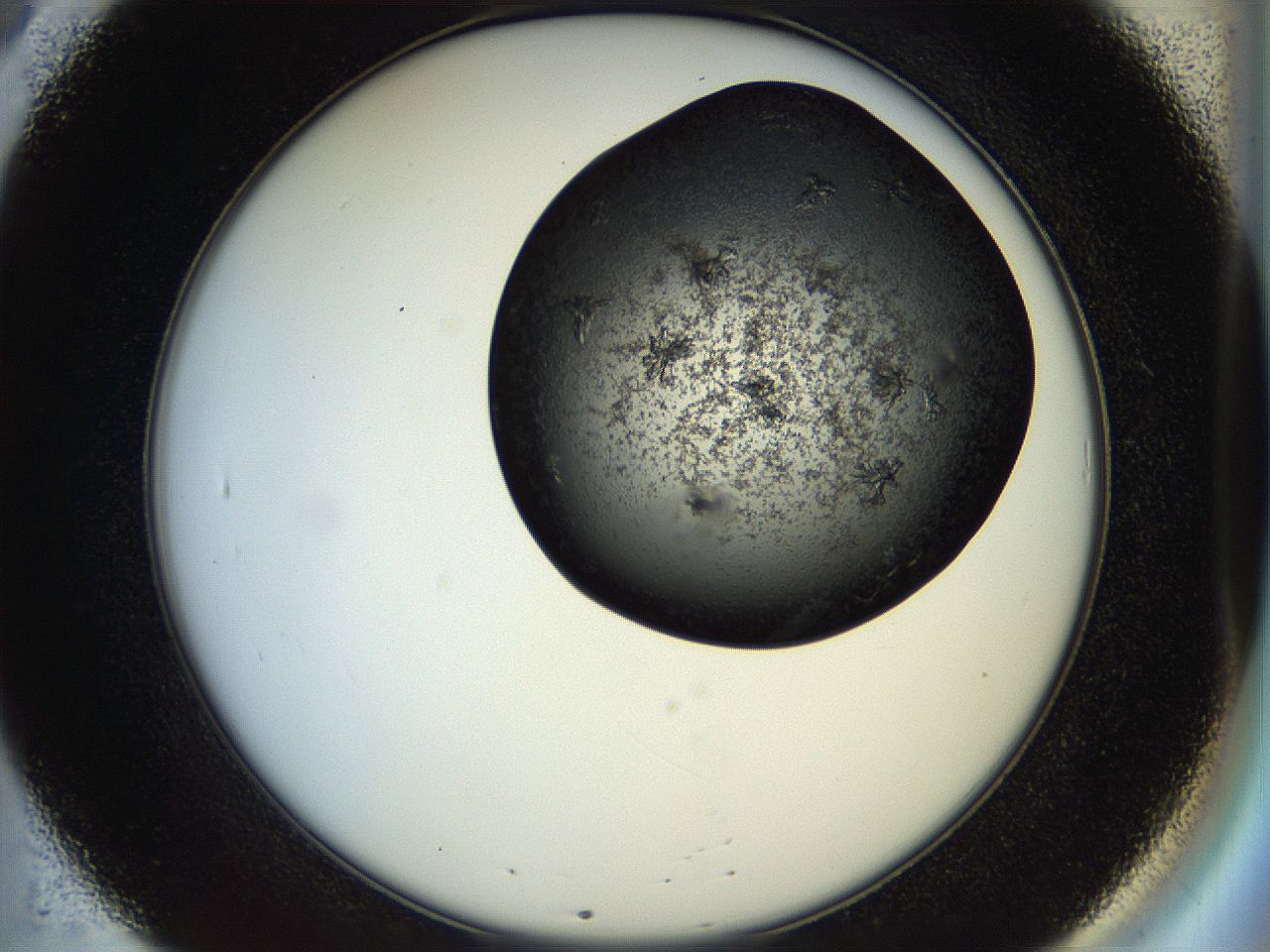 056z_B8_ImagerDefaults_7.jpg