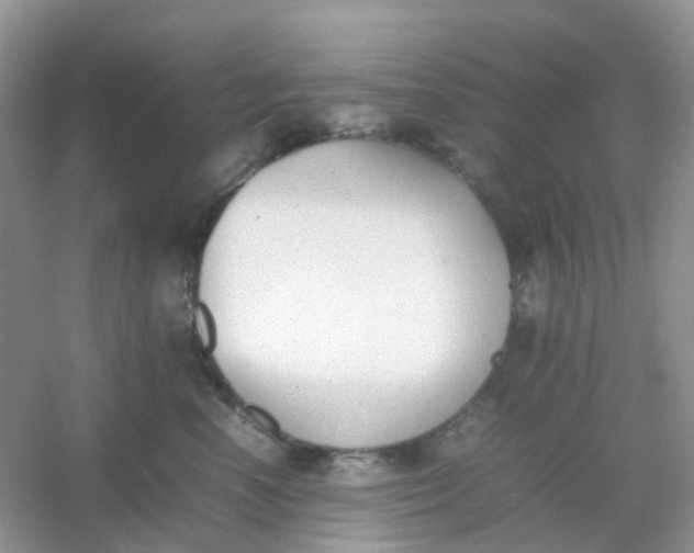 X0000054330666200508111920.png